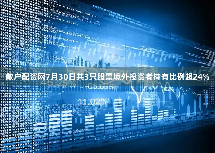 散户配资网7月30日共3只股票境外投资者持有比例超24%